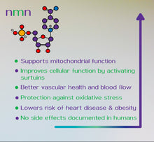 Load image into Gallery viewer, Hyer NMN Nicotinamide Mononucleotide 30g NAD+ Cellular Boost Supplement Powder, Third Party Tested High Purity for Anti Ageing & Mitochondria Support