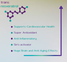 Load image into Gallery viewer, Hyer Trans Resveratrol 30g from Japanese Knotweed 98% Purity