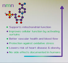 Load image into Gallery viewer, Hyer NMN Nicotinamide Mononucleotide 30g NAD+ Cellular Boost Supplement Powder, Third Party Tested High Purity for Anti Ageing &amp; Mitochondria Support
