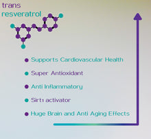 Load image into Gallery viewer, Hyer Trans Resveratrol 30g from Japanese Knotweed 98% Purity
